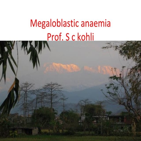 Megaloblastic anaemia