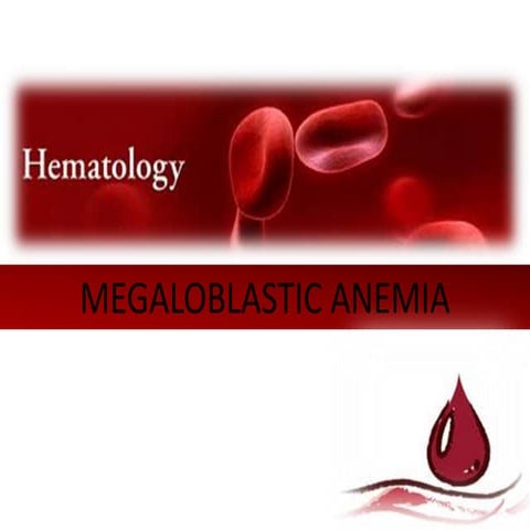 Megaloblastic anemia