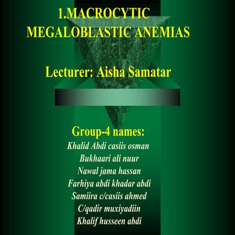 Megaloblastic Anemias Group-4.ppt