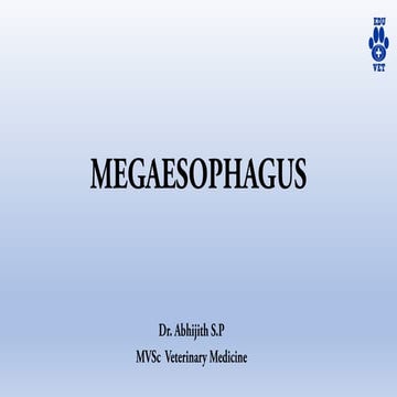 Mega Oesophagus canine gastrointestinal tract disease and conditions.pdf