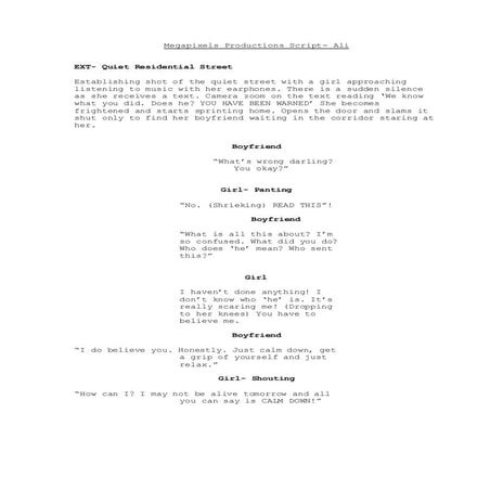 Megapixels productions script