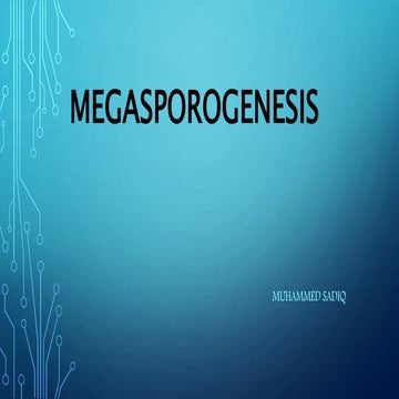 Megasporogenesis