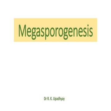 Megasporogenesis.pptx. class xii biology