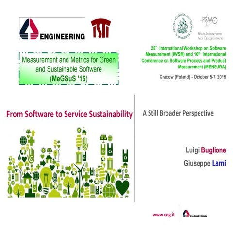 From Software to Service Sustainability: a still Broader Perspective