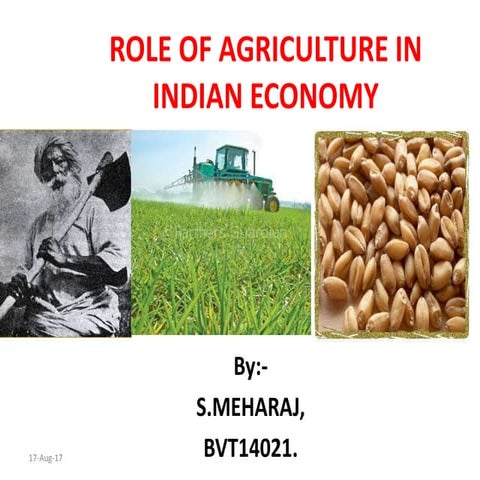 Role Of Agriculture in Indian Economy