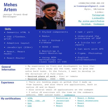 Mehes Artem CV