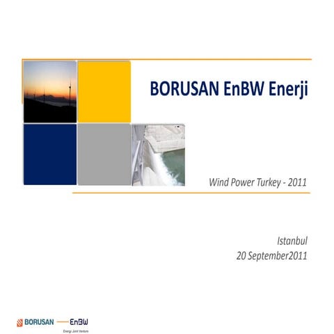 Renewable Energy Development in Germany / Rainer Hinrichs-Rahlwes | PDF