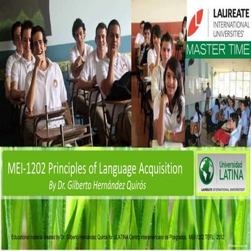 Mei 1202 sequence and scope