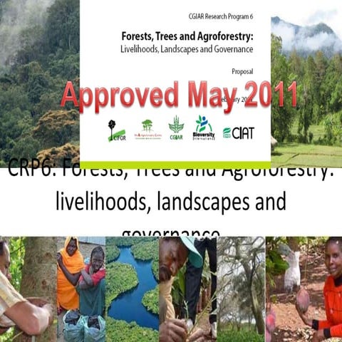 CRP6: Forests, Trees and Agroforestry: livelihoods, landscapes and governance
