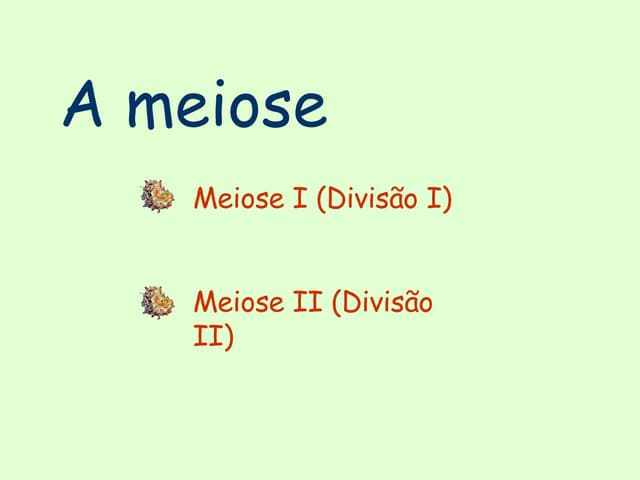 Meiose