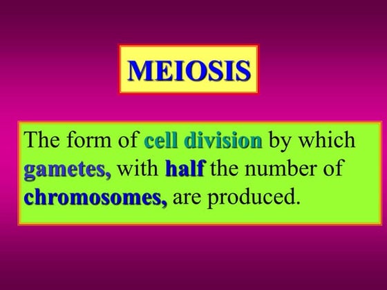 Cell Division - Meiosis | PPTX
