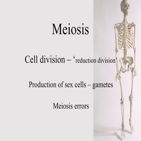 Understanding Meiosis: Cell Division, Gamete Formation, and Genetic ...