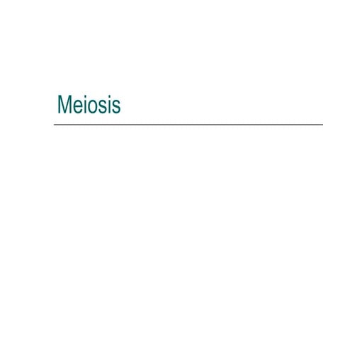 Meiosis
