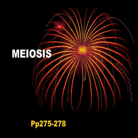 Meiosis