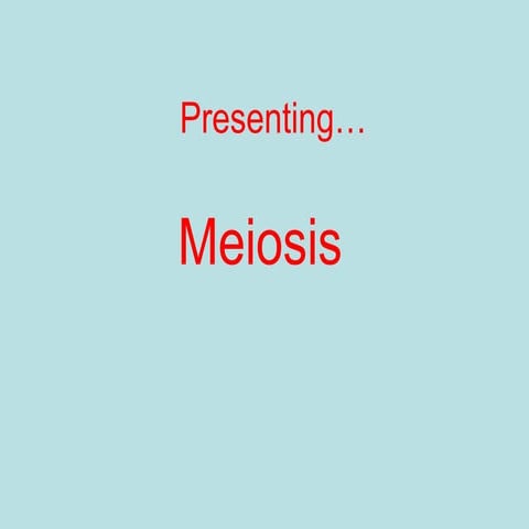 Meiosis 4.03