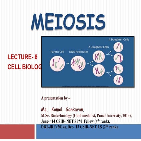 Meiosis