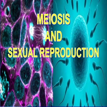 Meiosis, Sexual Reproduction, Meiosis 1 and 2
