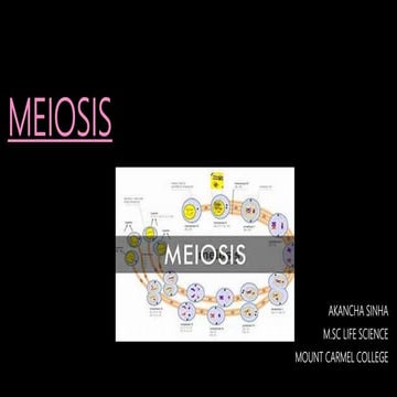 Meiosis