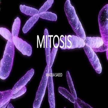 MITOSIS AND MEIOSIS (cell division)