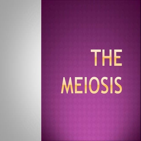 Meiosis