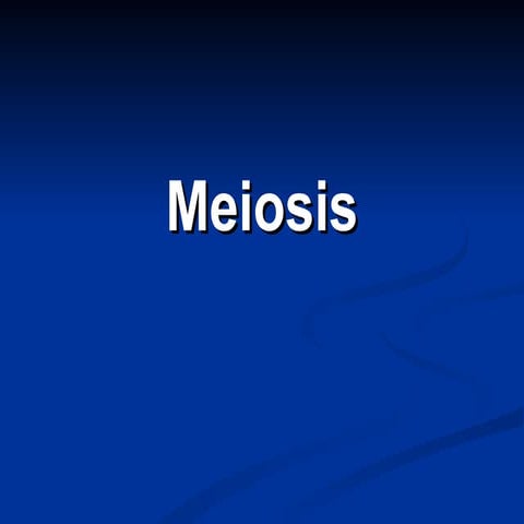 Meiosis 2 medio 2010
