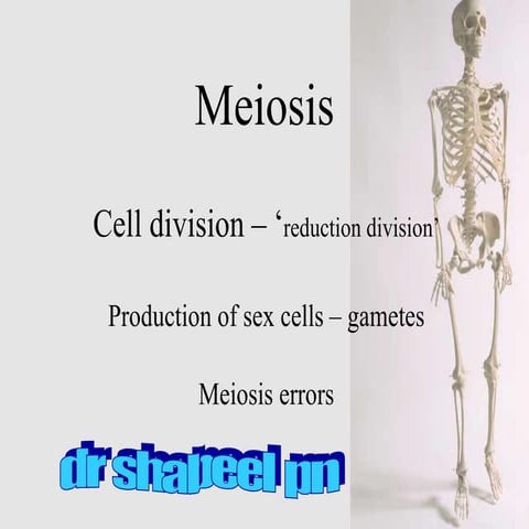 Meiosis