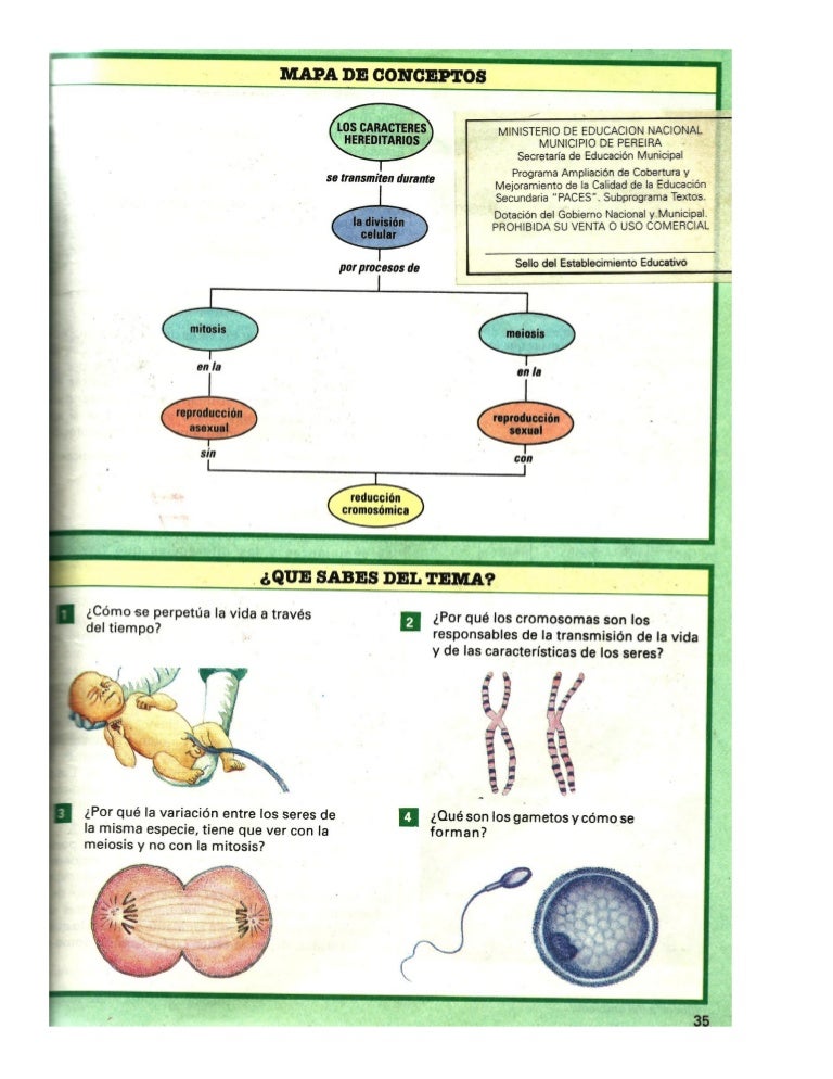 Caracteres Hereditarios Caracteres Hereditarios