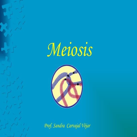 Meiosis ppt