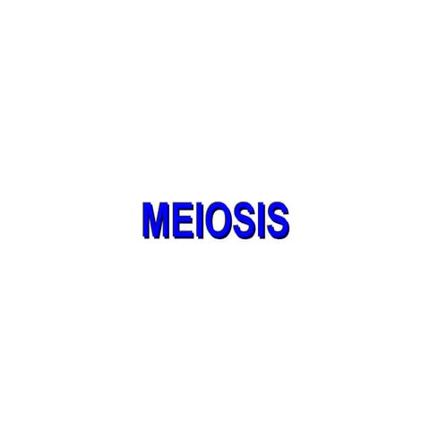 Meiosis ppt