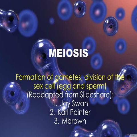 Meiosis 1 and 2