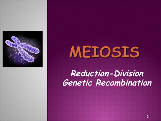 Meiosis Reduction Division 