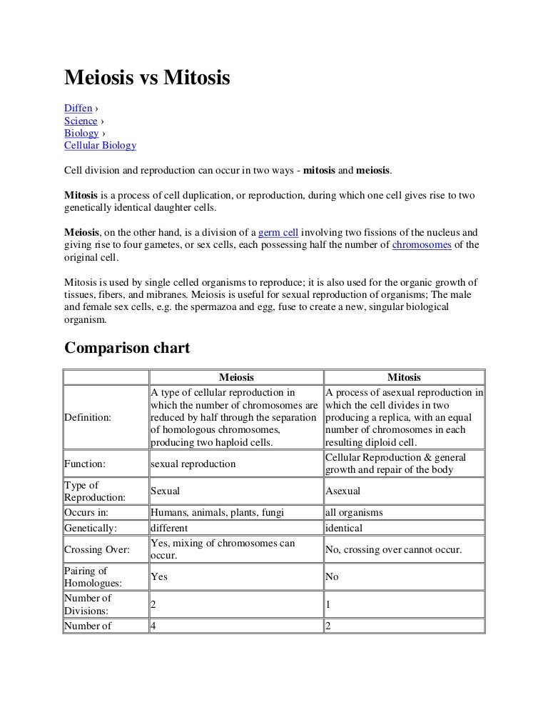 Worksheets Comparing Mitosis And Meiosis comparing mitosis and meiosis worksheet sharebrowse key delibertad