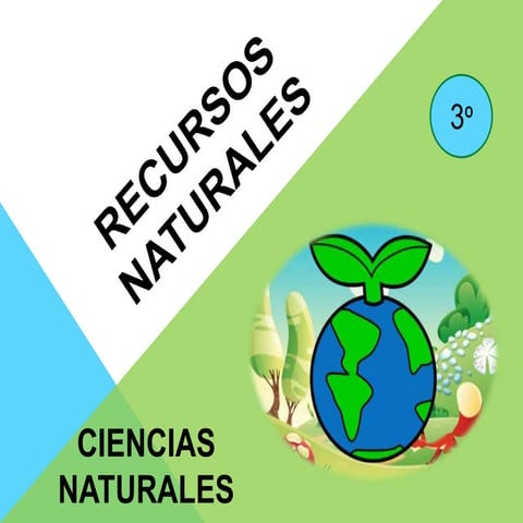 RECURSOS NATURALES