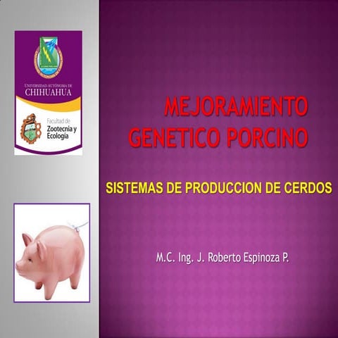 Mejoramiento genetico-porcino