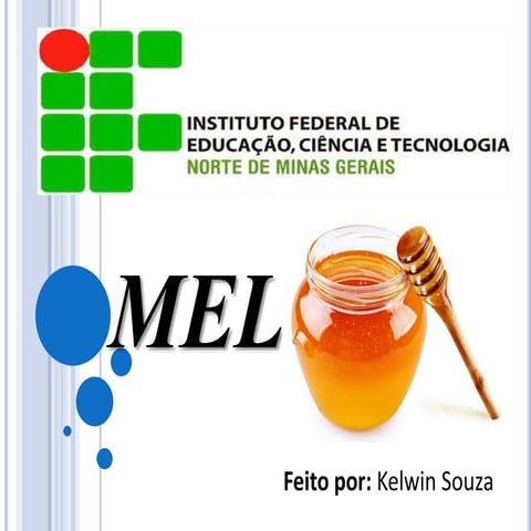 Mel | PPTX