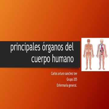 Organos | PPTX