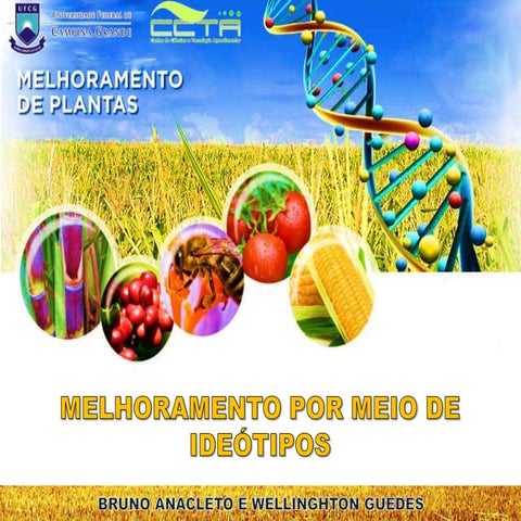 Melhoramento Por Meio de Ideótipos