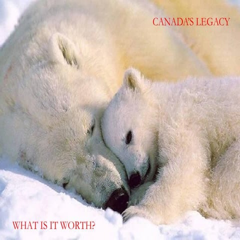 Melink Energy Savings Solutions