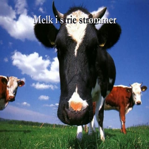 Melk I Strie StrøMmer