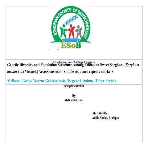 diversity of sweet sorghum in ethiopia pptx