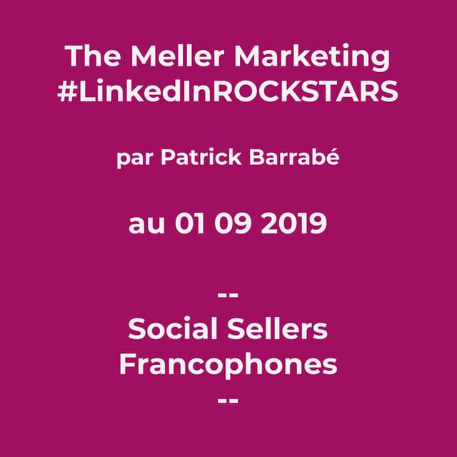 The Meller Marketing #LinkedInRockstars - Social Sellers Francophones - 1935