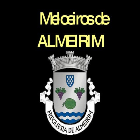 Meloeirosde almeirim