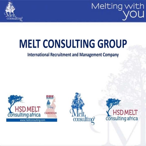 Melt consulting