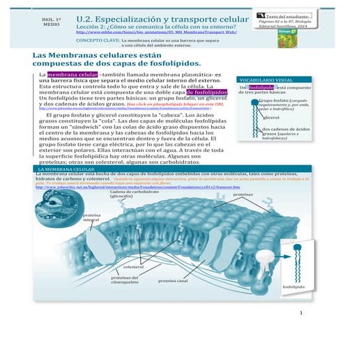 Membrana celular. Guía para primero medio, ramo de BIOLOGÍA, 2015