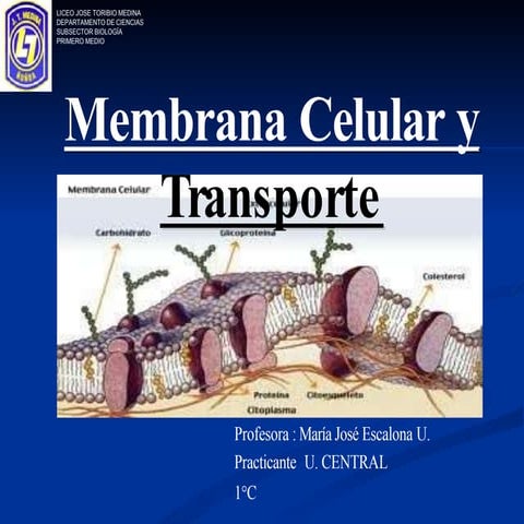 MEMBRANA CELULAR Y TRANSPORTE.pptx
