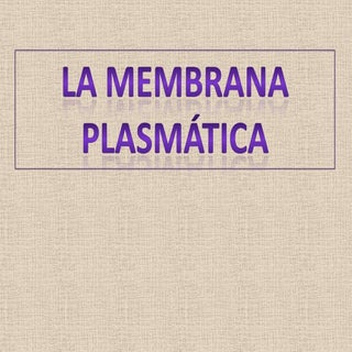 Membrana plasmatica