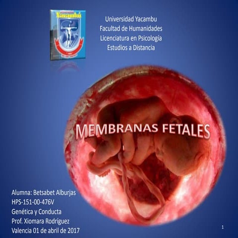 Membranas fetales
