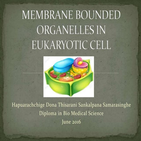 Membrane bounded organelles