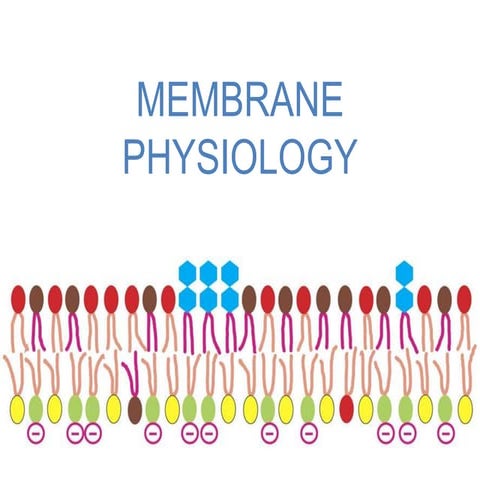 Membrane Physiology