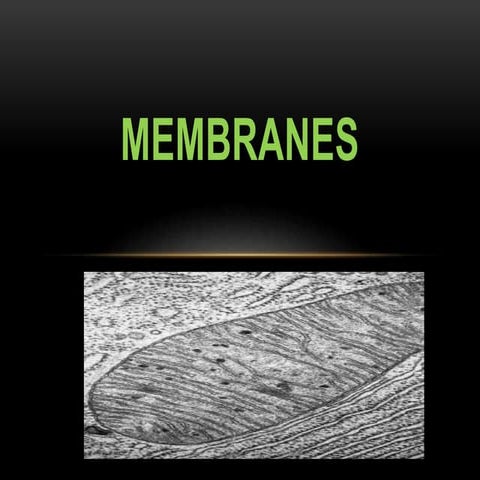Membranes